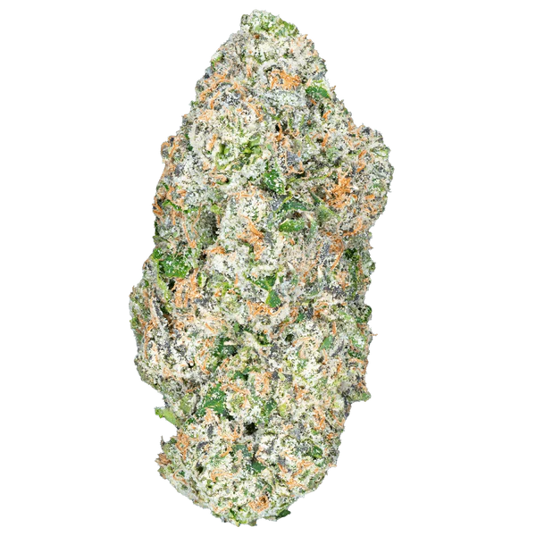 Quattro Kush THCa Flower