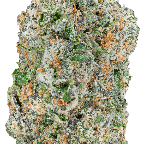 Quattro Kush THCa Flower