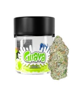 SloDown LoDown - Guava