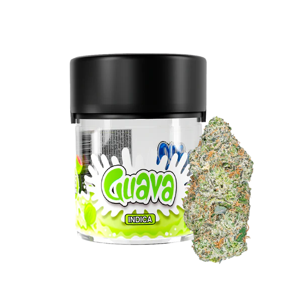 SloDown LoDown - Guava